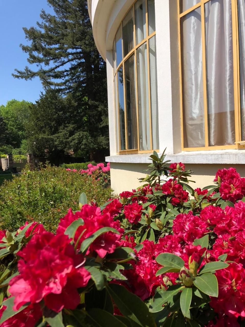 La Villa Rochette Forges-les-Bains Екстериор снимка