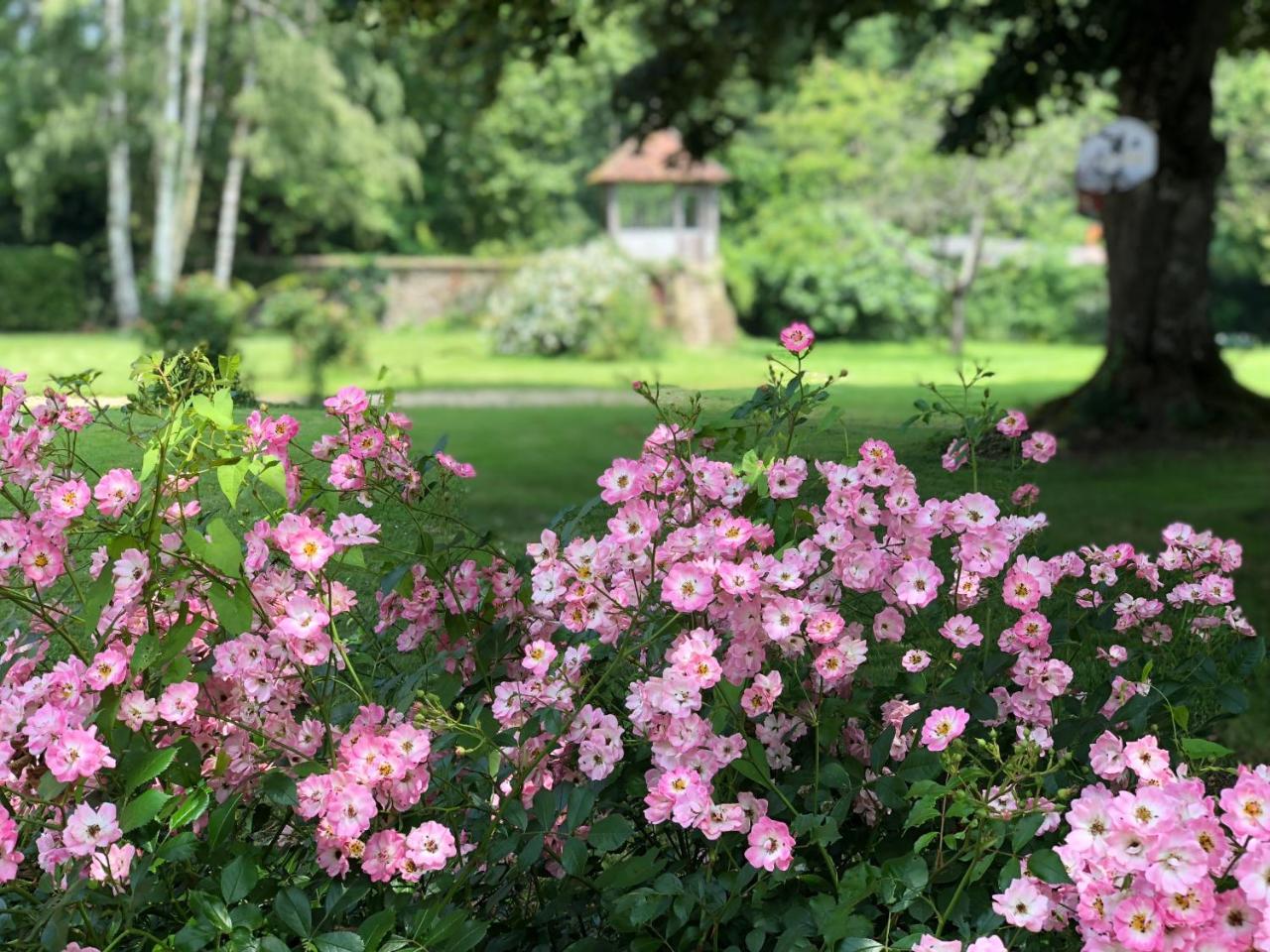 La Villa Rochette Forges-les-Bains Екстериор снимка
